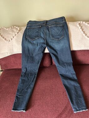 Hudson Jeans Indigo Skinny Jeans